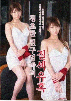 莲花楼
